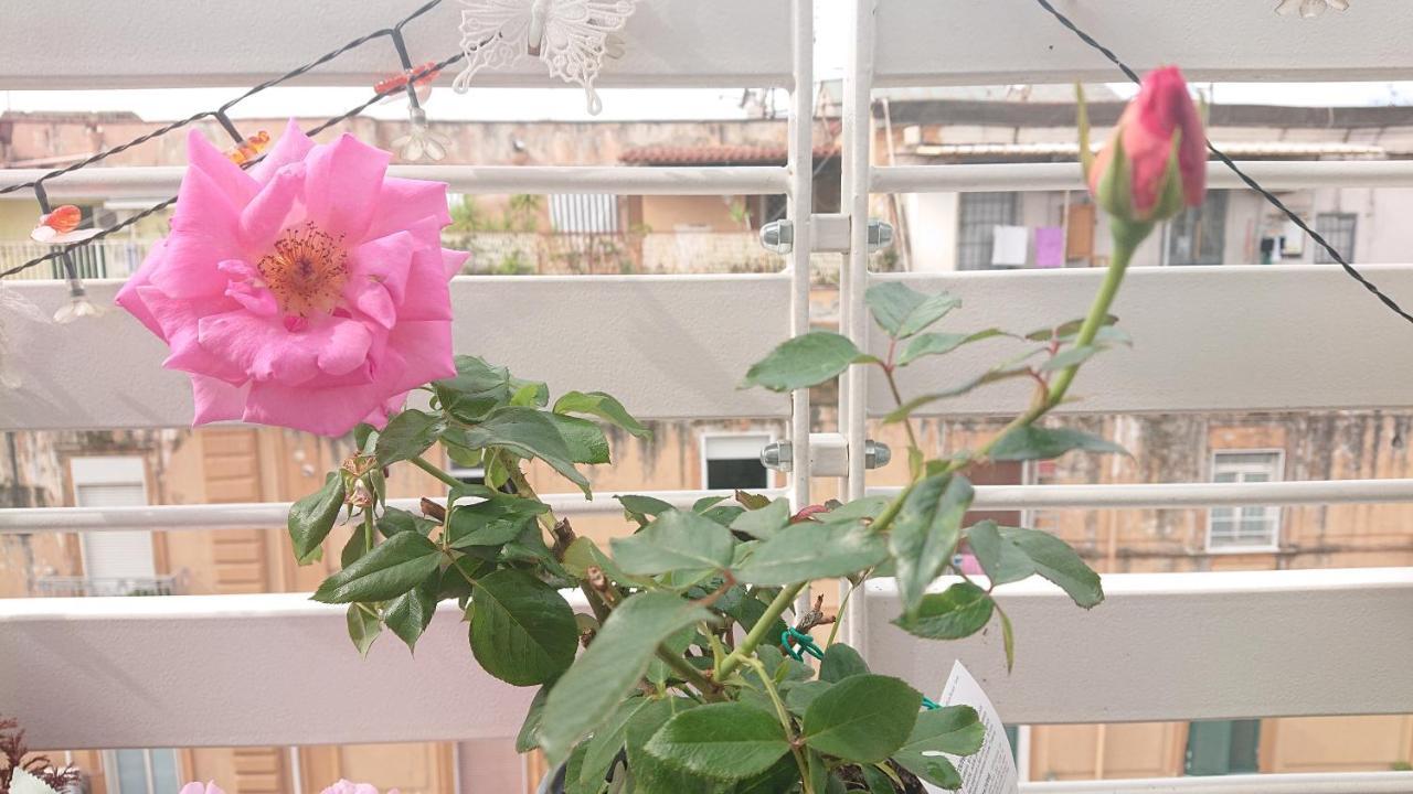 Sky-Terrace In Central Station, 3 Bedrooms نابولي المظهر الخارجي الصورة